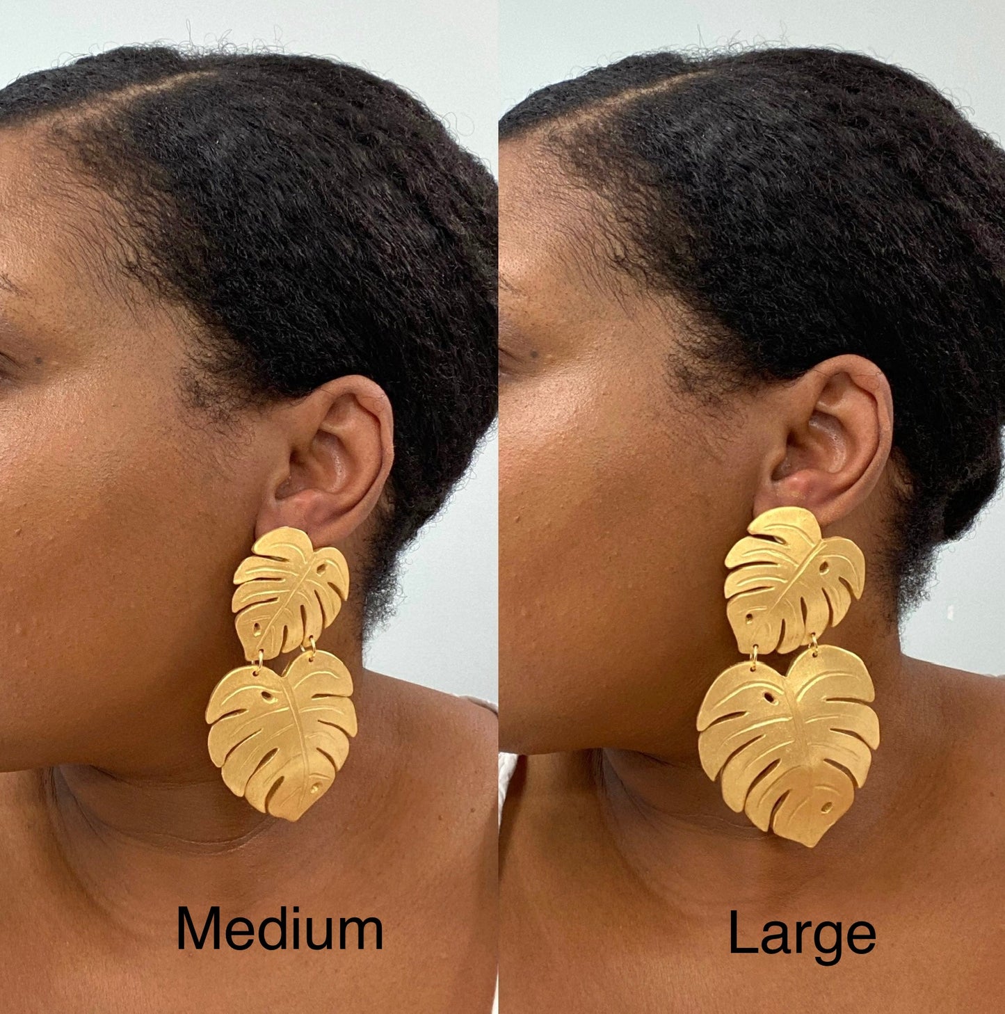 Monstera Dangle- Preorder